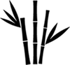 suger cane